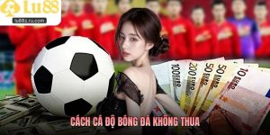Cách Cá Độ Bóng Đá Không Thua: Hiểu Đúng Để Hạn Chế Rủi Ro