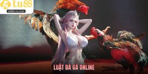 Luật Đá Gà Online: Những Quy Tắc Cơ Bản Người Mới Cần Nắm Rõ