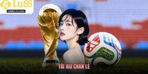 Tài Xỉu Chẵn Lẻ - Cách Hiểu Đúng Về Một Loại Kèo Đặc Biệt